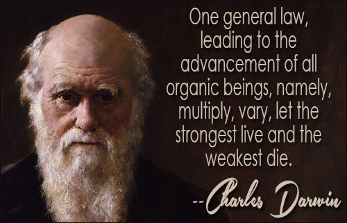 Charles Darwin quote