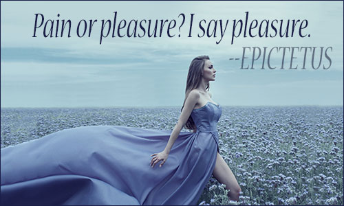 Pleasure quote