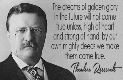 Theodore Roosevelt quote